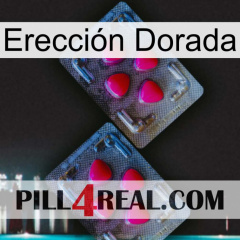 Erección Dorada 14